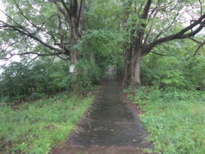 A dark path leading into the woods. Where have I heard of something like that? (Click to view Larger)