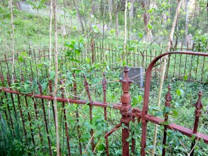 Georges Creek Cemetery - my ancestors grave is close to this fence